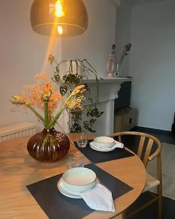 Bloss Iii Zonnige Met Dakterras Appartement Gent