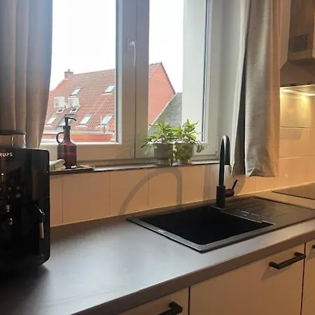 Bloss Iii Zonnige Met Dakterras Gent