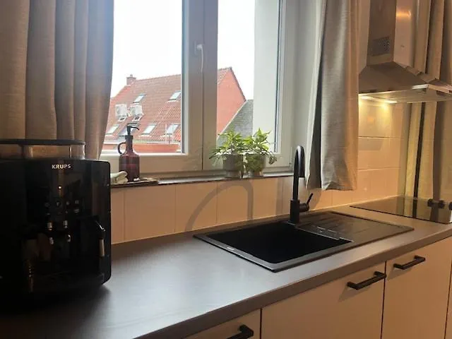 Bloss Iii Zonnige Met Dakterras Ghent